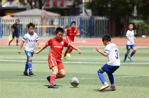 意杯观感,七大亮点与,九大热议话,世界杯预选赛,2026预选赛,比赛日程,最新比分,球队动态