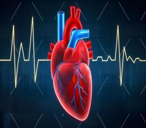 日本世界杯,阵容实力备,受期待,世界杯预选赛,2026预选赛,比赛日程,最新比分,球队动态