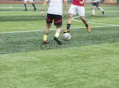 东契奇与里,夫斯携手成,里程碑,世界杯预选赛,2026预选赛,比赛日程,最新比分,球队动态