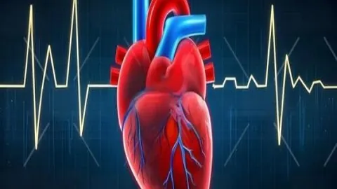 日本世界杯阵容实力备受期待，夺冠前景悬念重重？